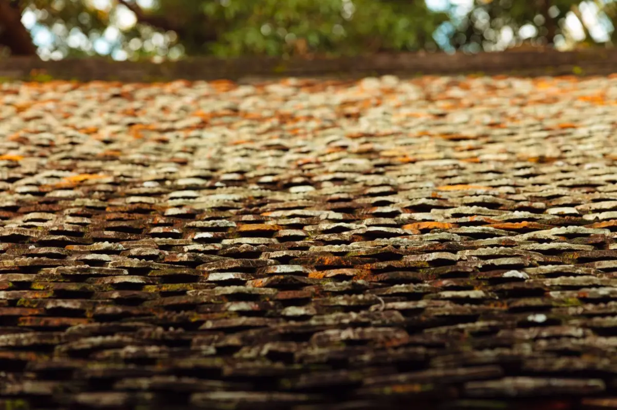 Roof Coatings & Sealing in Novi, MI